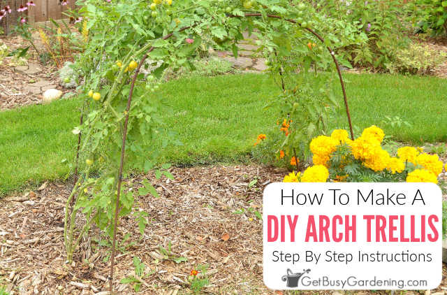 How To Make A DIY Arch Trellis Step By Step Instructions