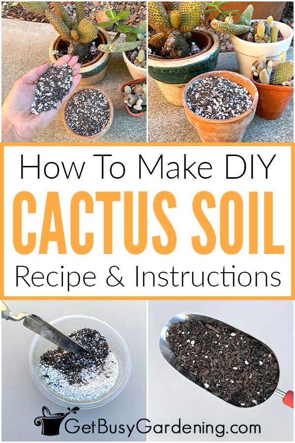 How To Make DIY Cactus Soil Recipe & Instructions