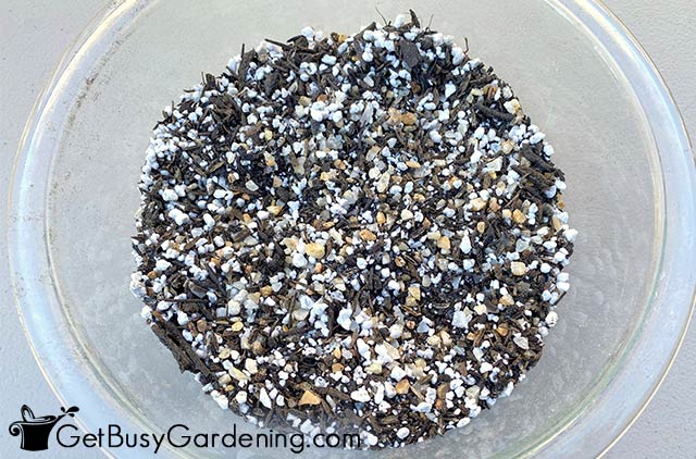 How To Make DIY Cactus Soil Mix: Cheap & Easy! - Get Busy Gardening