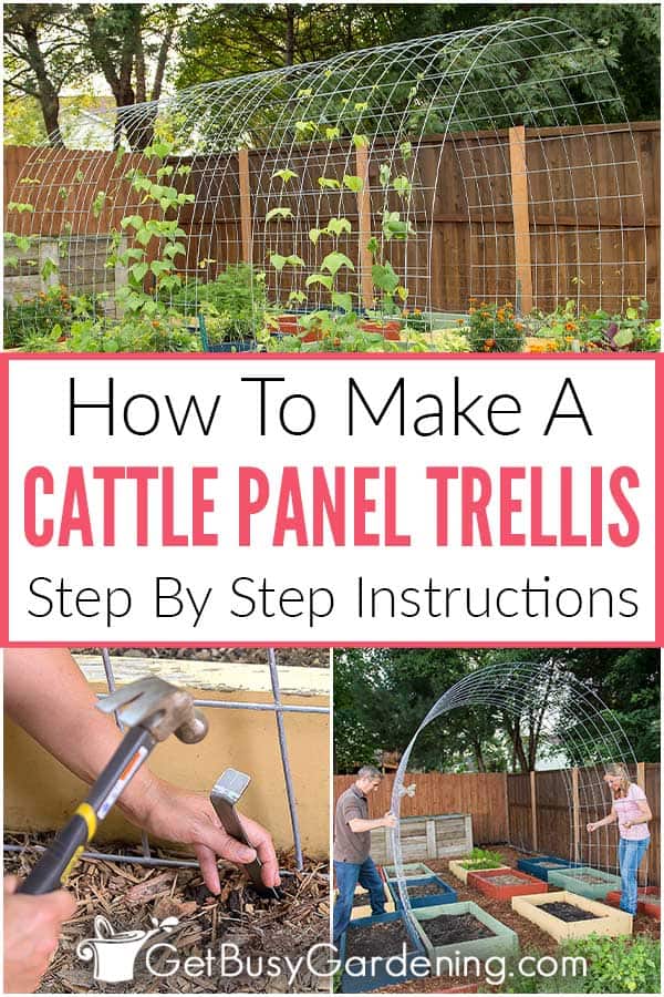 How To Make A Cattle Panel Trellis Step By Step Instructions