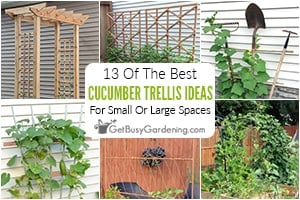 13 DIY Cucumber Trellis Ideas For Small Or Large Spaces