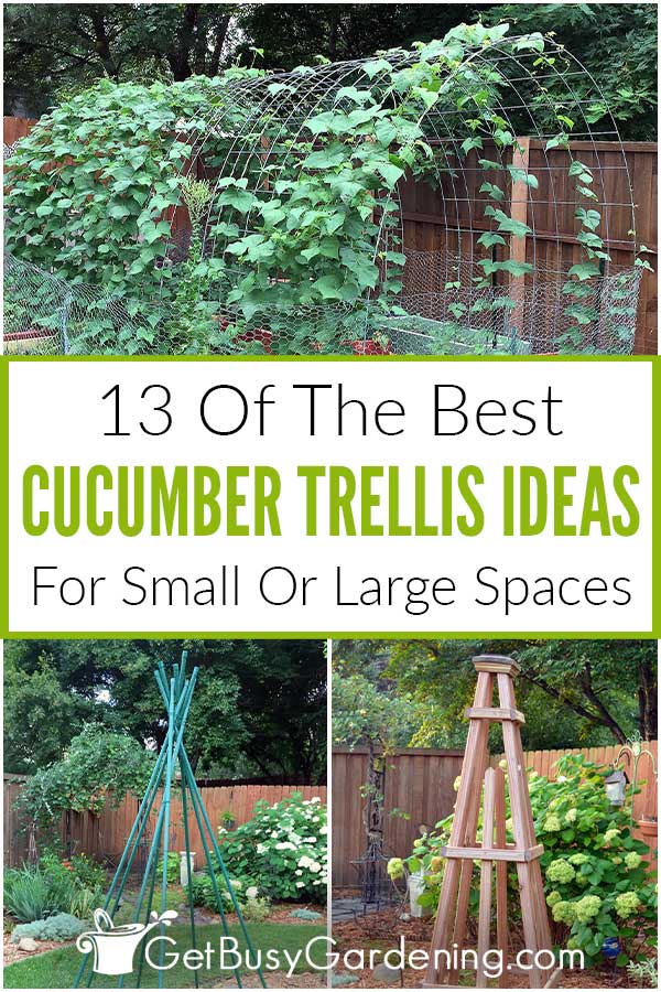 13 Of The Best Cucumber Trellis Ideas For Small Or Large Spaces