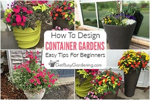 How To Design A Flower Container (Plus Tips & Ideas)