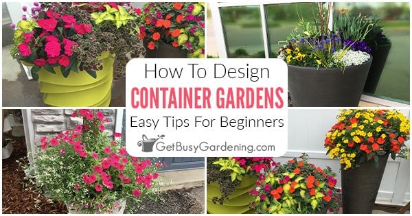 Container Garden Design Tips For Arranging Plants In Pots