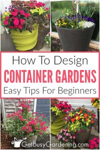 Container Garden Design Tips For Arranging Plants In Pots