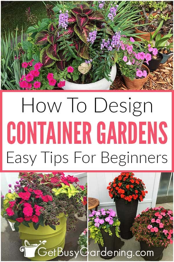 How To Design Container Gardens Easy Tips For Beginners
