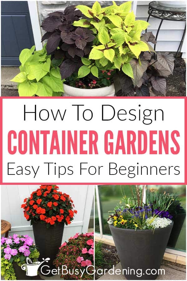 How To Design Container Gardens Easy Tips For Beginners