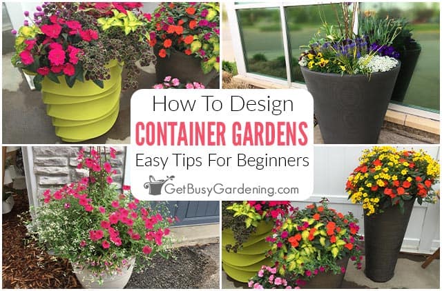 https://getbusygardening.com/wp-content/uploads/2022/06/container-garden-design.jpg