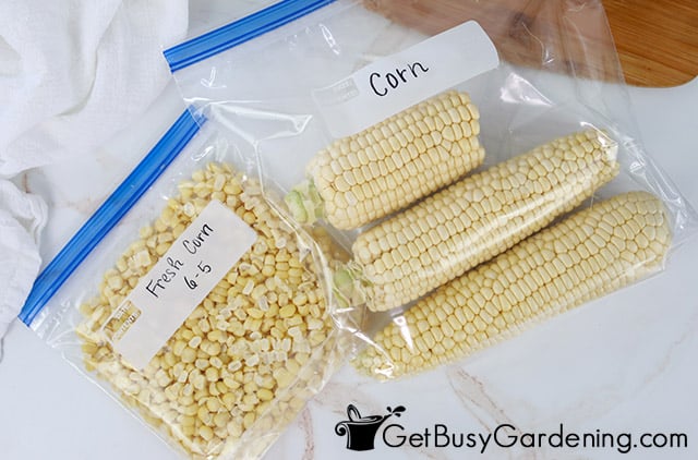 Corn on and off the cob in freezer baggies