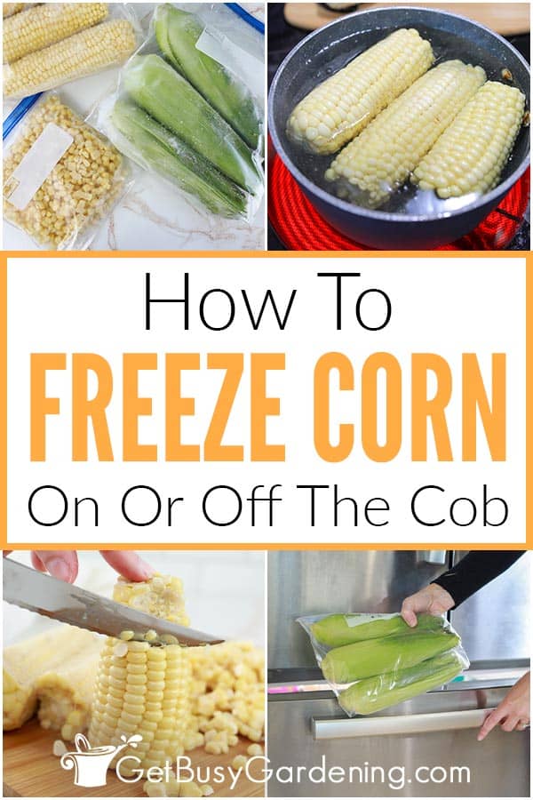 How To Freeze Corn On Or Off The Cob