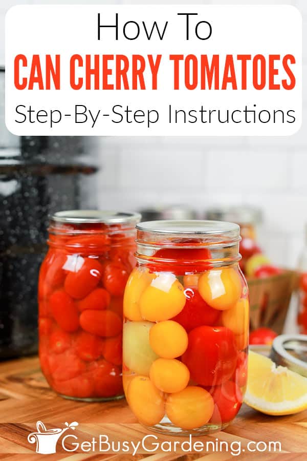 How To Can Cherry Tomatoes Step-By-Step Instructions