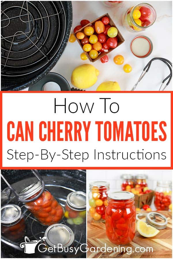 How To Can Cherry Tomatoes Step-By-Step Instructions