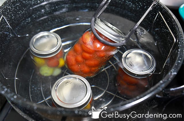 Canning cherry tomatoes with the water bath method