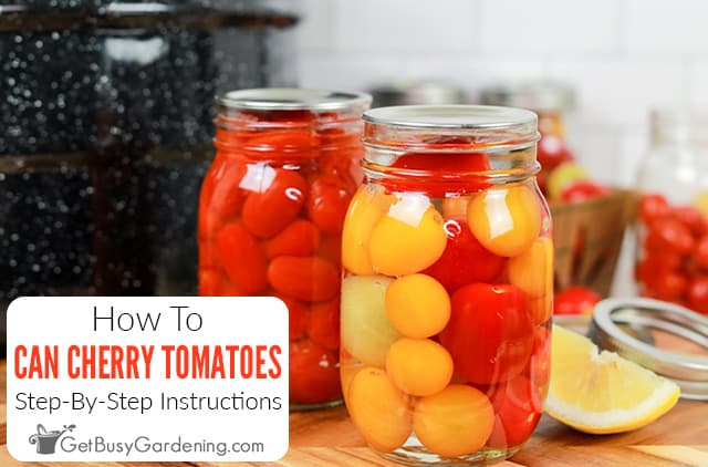 How To Can Cherry Tomatoes