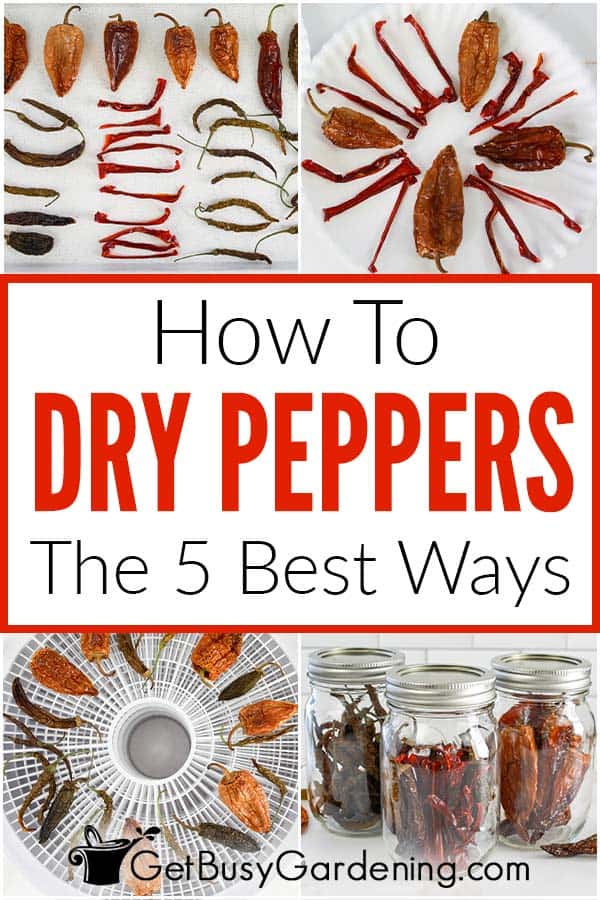 How To Dry Peppers The 5 Best Ways