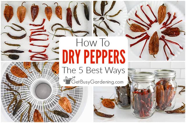 How To Dry Peppers (5 Best Ways)