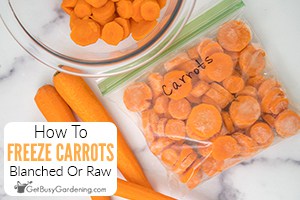Freezing Carrots With Or Without Blanching
