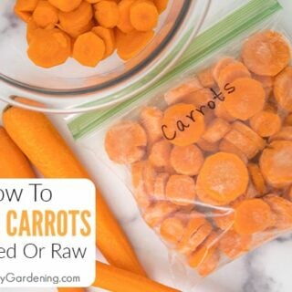 How To Freeze Carrots-image