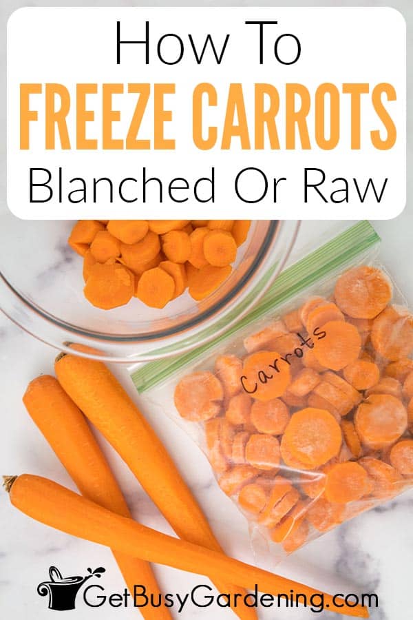 How To Freeze Carrots Blanched Or Raw