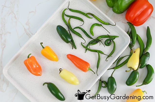 https://getbusygardening.com/wp-content/uploads/2022/07/preparing-to-dry-peppers-in-the-oven.jpg