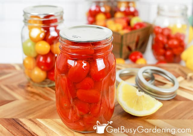 Sealed canned cherry tomatoes ready for storage