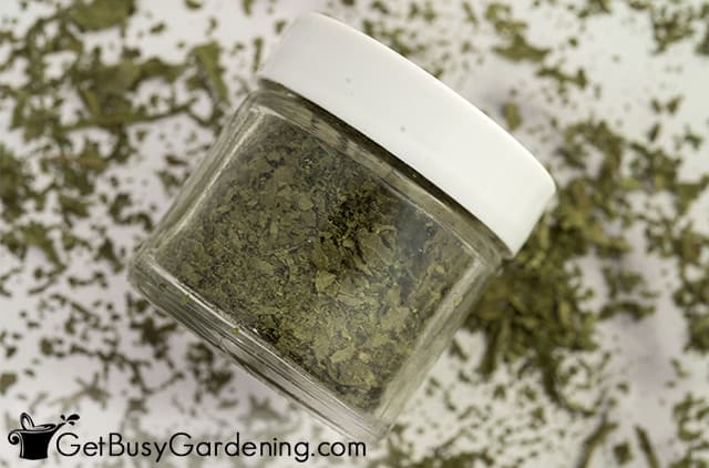 Storing dried basil in a spice jar