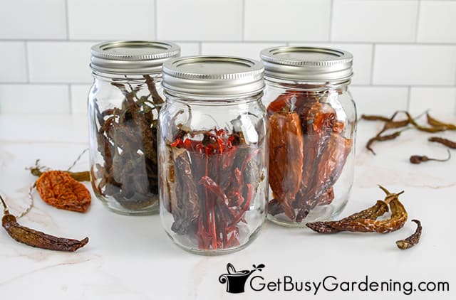 Storing dried peppers in mason jars