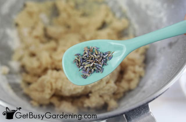 Adding lavender buds to the cookie dough