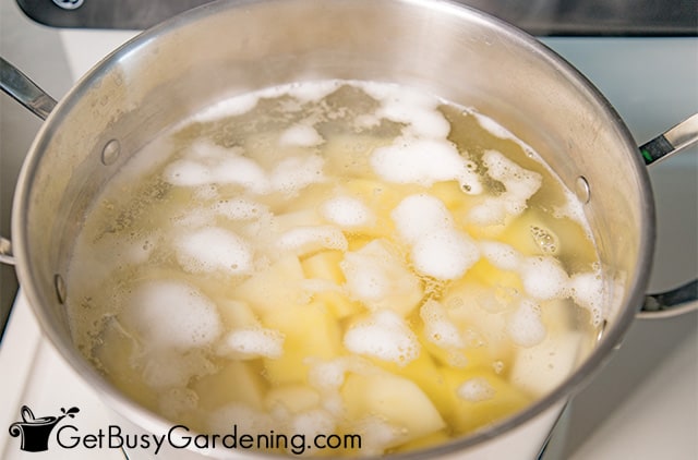 Boiling potatoes before canning
