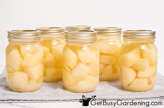 Canned potatoes cooling after processing