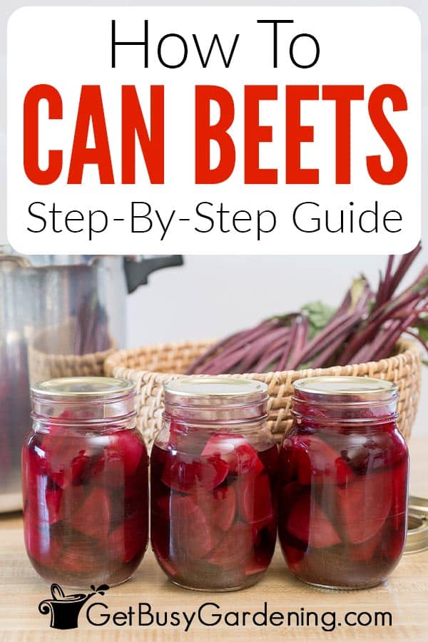How To Can Beets Step-By-Step Guide