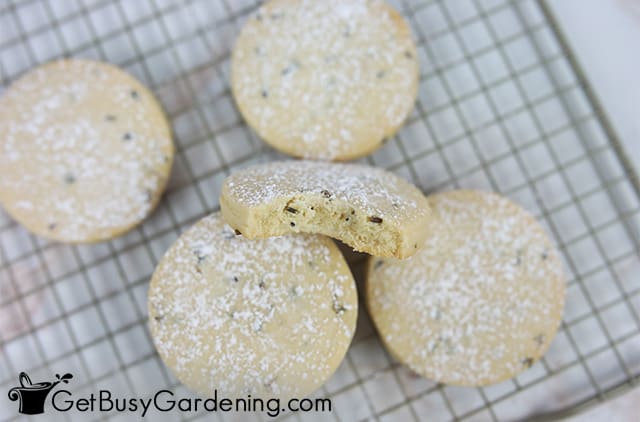 Delicate and delicious lavender cookies