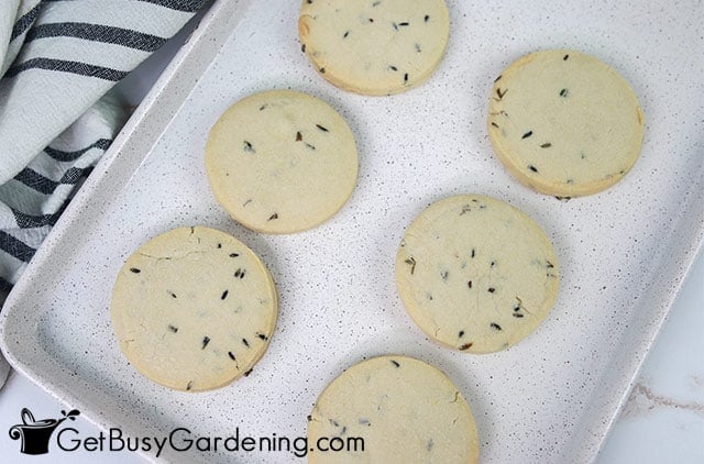 Fresh lavender cookies right out of the oven
