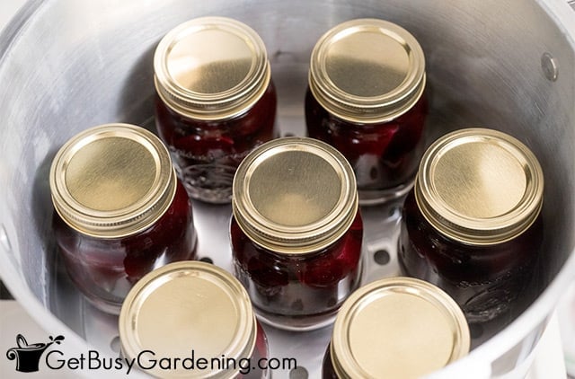 Jars of beets in the pressure canner