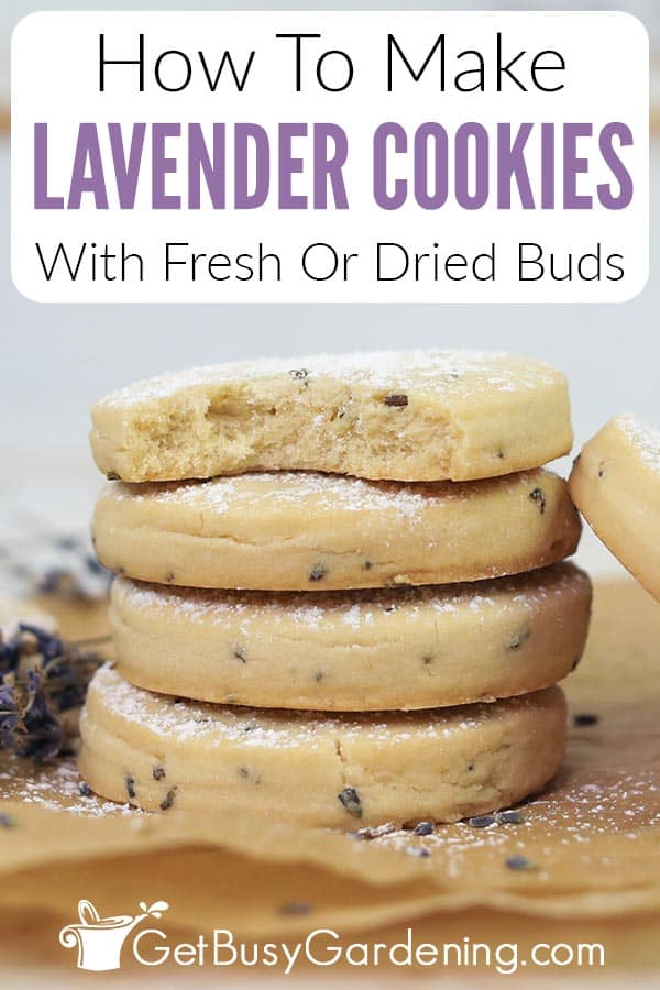 How To Make Lavender Cookies With Fresh Or Dried Buds
