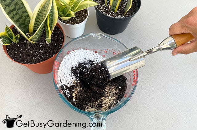 Mixing potting soil for snake plants