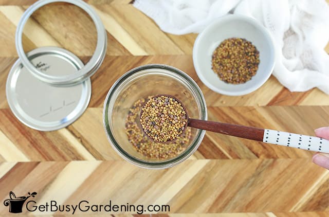 Pouring sprouting seeds into a jar