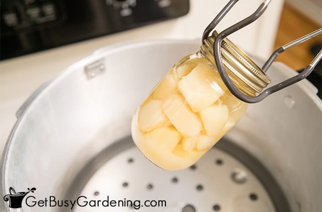 Putting a jar of potatoes into the canner