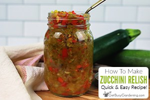 Quick & Easy Zucchini Relish Recipe