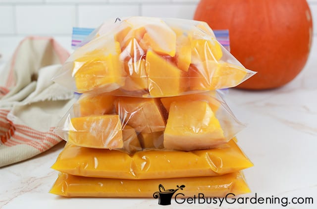 Baggies of frozen pumpkin ready to store