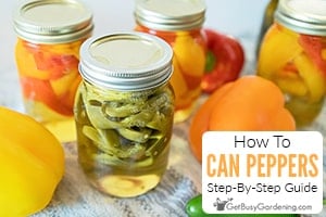 How To Can Peppers