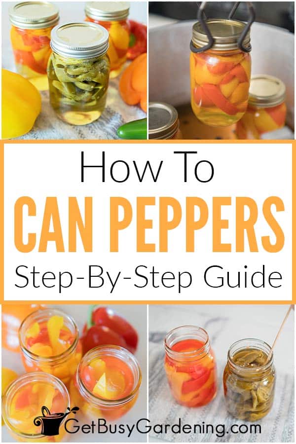 How To Can Peppers Step-By-Step Guide