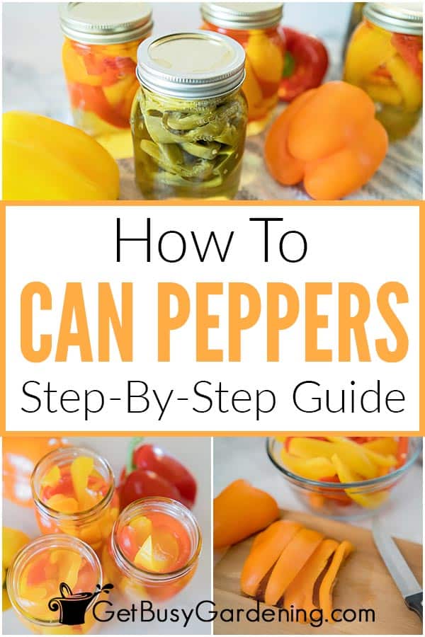 How To Can Peppers Step-By-Step Guide