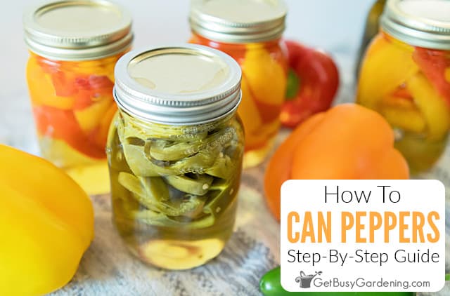 How To Can Peppers