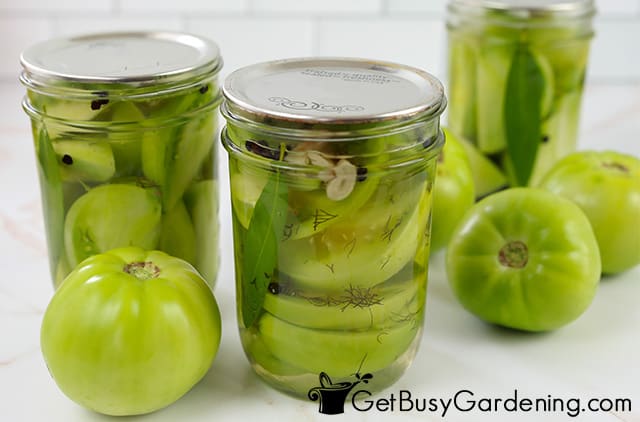 Cooling pickled green tomatoes before storing