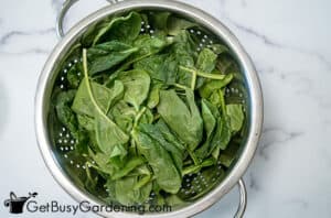 How To Freeze Spinach (With Or Without Blanching)