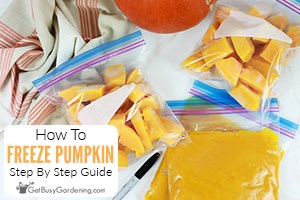 How To Freeze Pumpkin