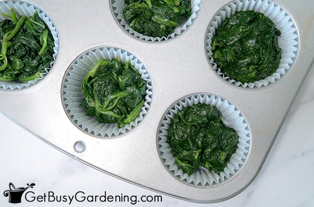 Muffin tin filled with cooked spinach for freezing