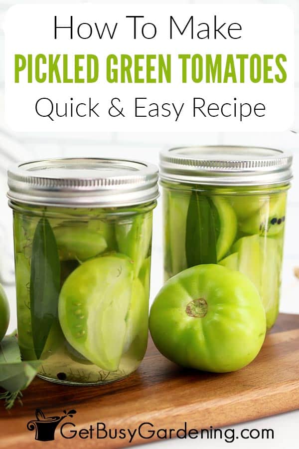 How To Make Pickled Green Tomatoes Quick & Easy Recipe