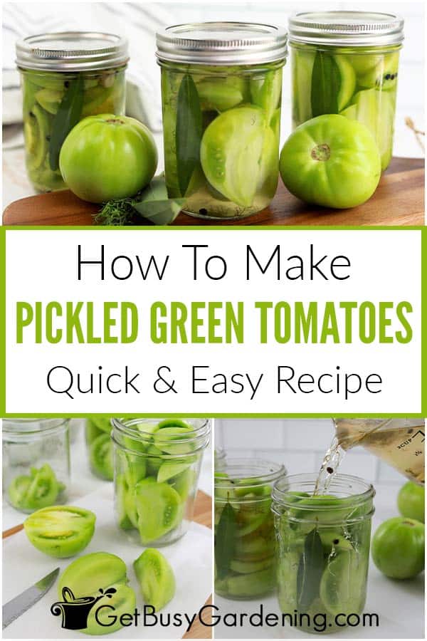 How To Make Pickled Green Tomatoes Quick & Easy Recipe